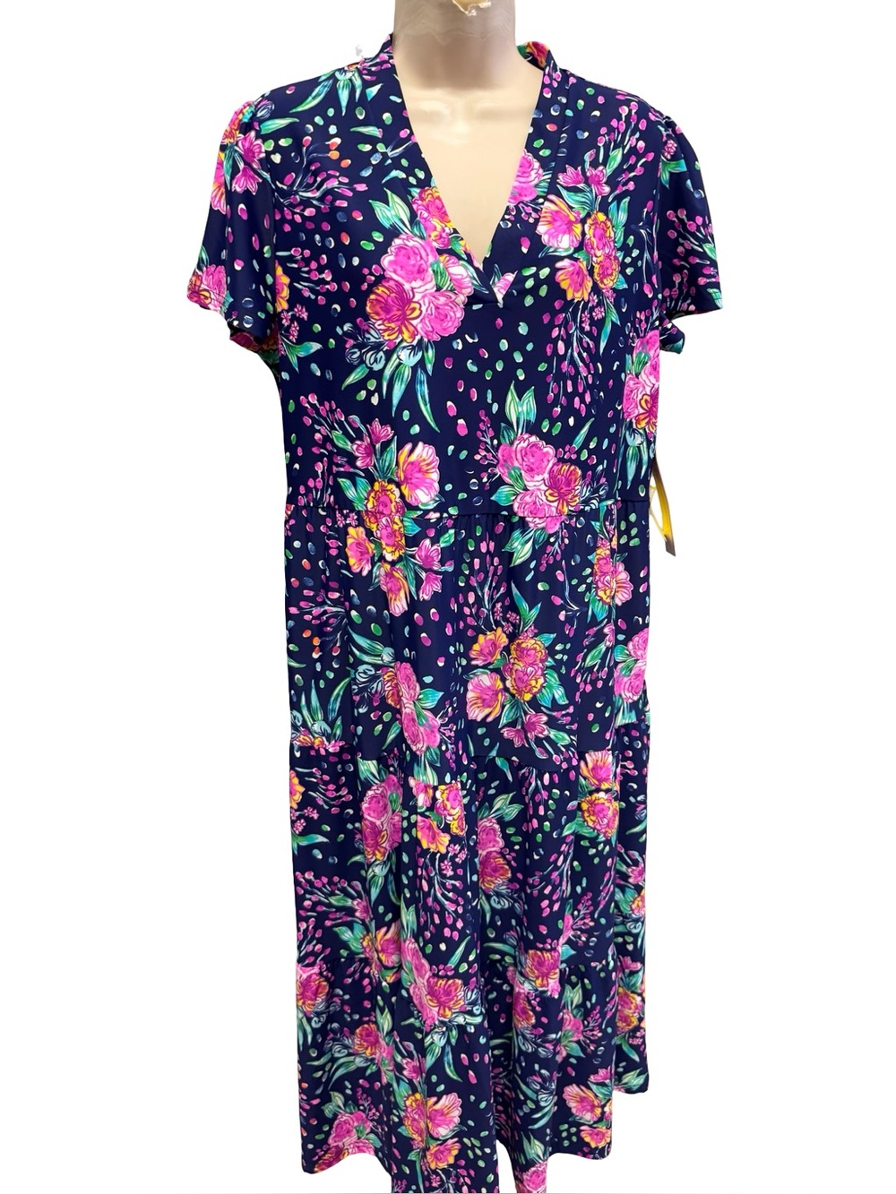 814 / Aryeh Floral Dress Women’s Size Medium NWT